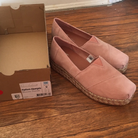 toms bloom suede